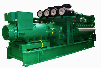 10-1000KW雙燃料發(fā)電機(jī)組